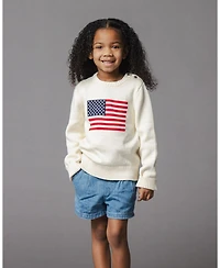 Hope & Henry Girls and Organic Crew Neck Flag Sweater