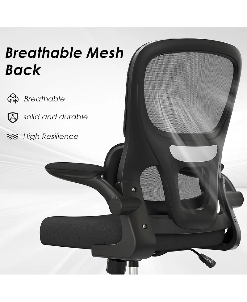 flynama Mesh Ergonomic Office Chair,Flip-Up Armrest Lumbar Chair