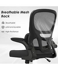 flynama Mesh Ergonomic Office Chair,Flip-Up Armrest Lumbar Chair