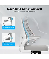 flynama Mesh Ergonomic Office Chair,Flip-Up Armrest Lumbar Support Chair