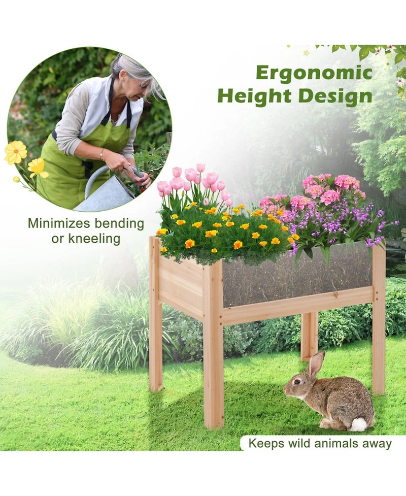 Gouun Fir Wood Raised Garden Bed with Acrylic Side Panels