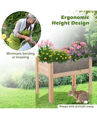 Gouun Fir Wood Raised Garden Bed with Acrylic Side Panels