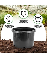 Pro Cal 10 Gallon Premium Nursery Black Plastic Planter Garden Grow Pots, 5 Pack