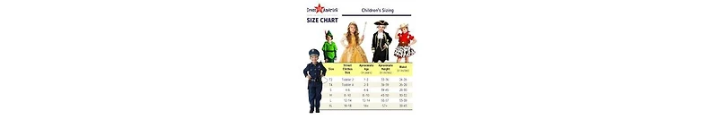Dress Up America Gingerbread Costume