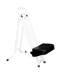 iOptron SkyGuider Pro Camera Mount Full Package