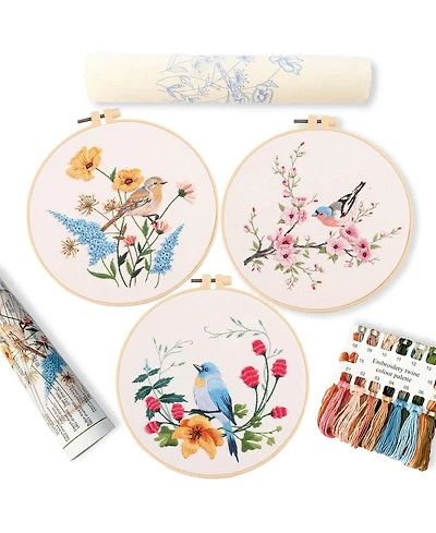 Gnuadz 3p Embroidery Starter Kit Patterns Diy Adult Beginner Plastic Rings Colored Threads Instructions