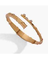 Alex and Ani Harry Potter Hermione Wand Bypass Cuff