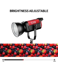 Gvm Pro SD200B 200W Bi-Color Led Video Cob Spotlight Kit with Lantern Softbox and Light Stand