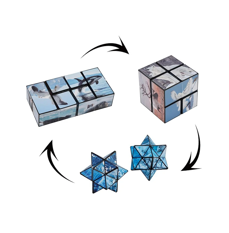 Bruce & Shark 2-in-1 North and South Poles Fidget Cube - Folds into Star, Cube & Rectangle
