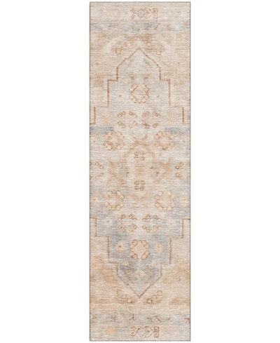 Addison Mayfield AMF1918 2'3"x7'6" Runner
