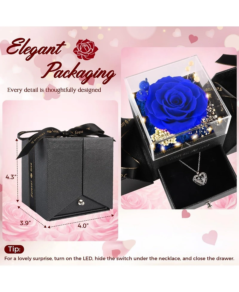 Gnuadz Preserved Rose Heart Necklace Gift Box