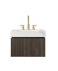 Sillysis 24 Inches Bathroom Vanity with Carrara Sintered Stone Top, Ceramic Undermount Sink, Soft Close Cabinet, Pre-assembled