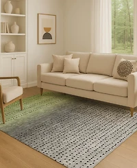 Addison Mayfield AMF2009 3'x5' Area Rug