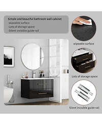 Sillysis Wall Mounted Bathroom Vanity with Ceramic Sink, Double Drawers