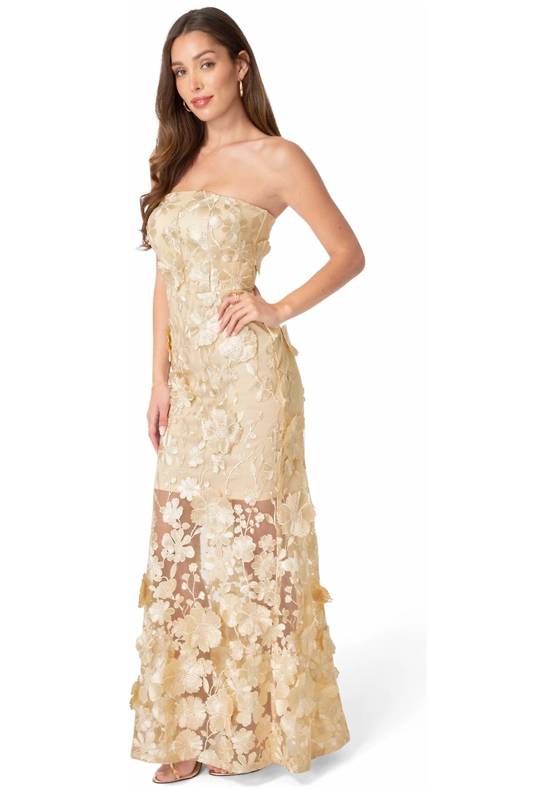 Bebe Women's Strapless Embroidery Maxi Dress