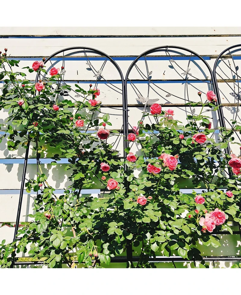 Clihome Metal Garden Trellis Rustproof Trellis for Climbing Plants Outdoor Flower Support Dragonfly Deco