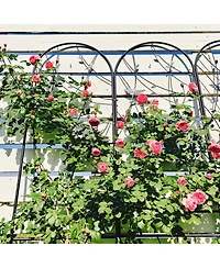 Clihome Metal Garden Trellis Rustproof Trellis for Climbing Plants Outdoor Flower Support Dragonfly Deco
