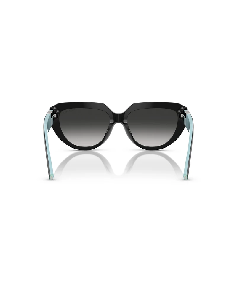 Tiffany & Co. Women's Sunglasses, TF4238U