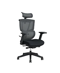 FlexiSpot Ergonomic Chair C7-Foam Seat (No Footrest