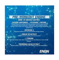 Evl Intense Pre Workout with Creatine Engn Energizing Pre Workout for Men with Beta Alanine Caffeine and L Theanine