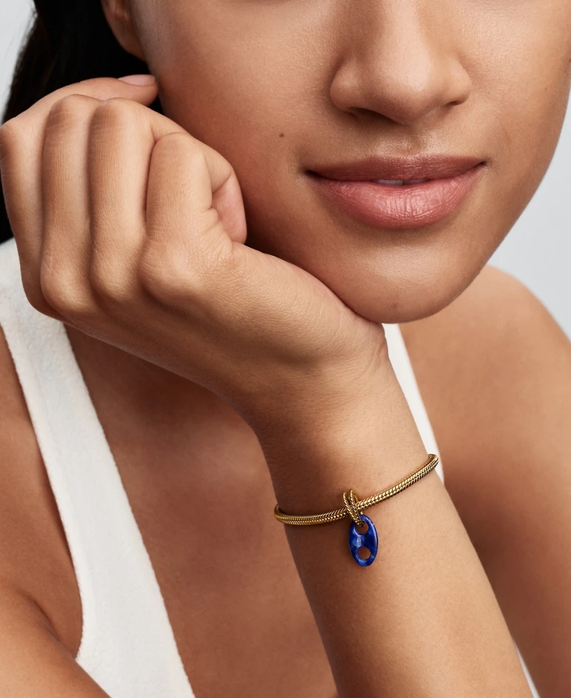Pandora Mariner Link Dangle Charm