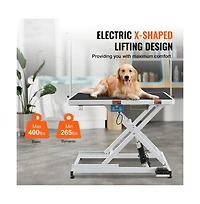 Ruie 50 inch Electric Pet Grooming Table Height Adjustable for Large Dogs