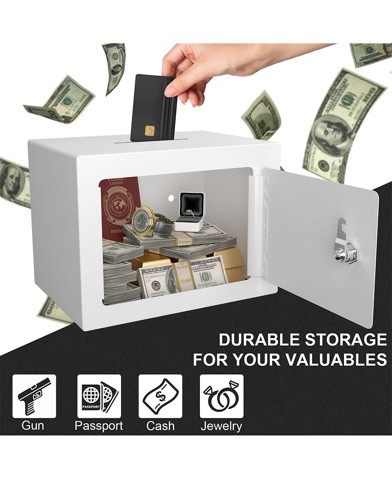 Clihome Mini Storage Cabinet Secure Safe With Key and Password for Home Use
