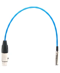 Kondor Blue 16" Mini Xlr Male to Xlr Female Audio Cable for Bmpcc 4K/6K Camera