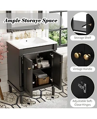 Phying 24 Inch Single Sink Bathroom Vanity Modern 2 Tier Storage Cabinet with Top Sink and Large Capacity Storage Shelves