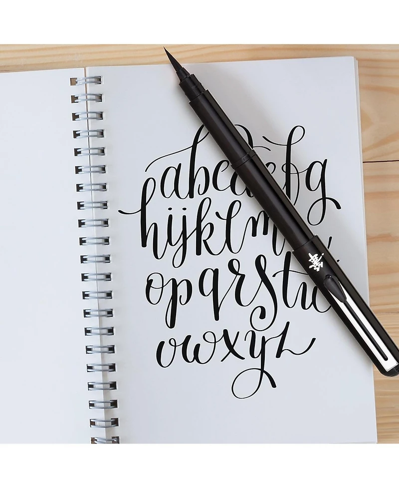 Pentel Pocket Brush Pen with 2 Refills