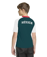 Adidas Big Boys and Girls White Mexico National Team 2026 Pre-Match Jersey
