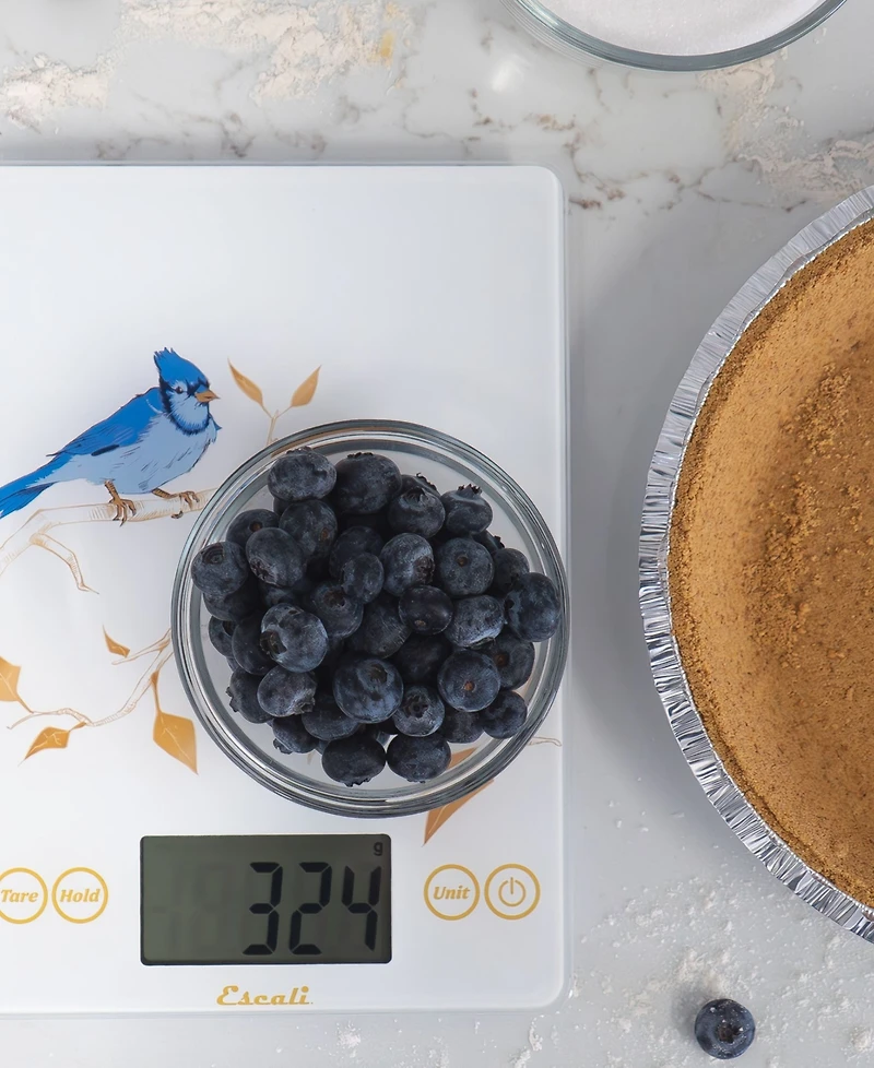 Escali Arti Blue Jay Glass 9" Digital Food Scale