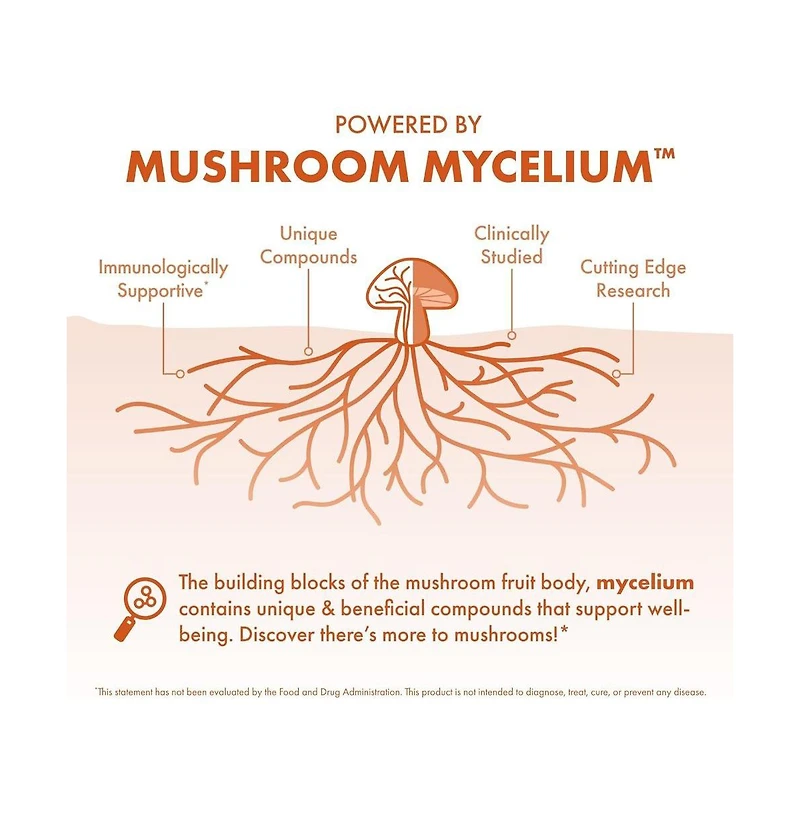 Host Defense Cordyceps Powder - Immune & Energy Support Supplement - Kidney Health Supplement with Cordyceps