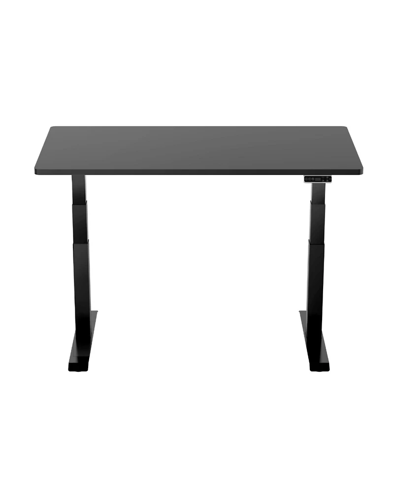 FlexiSpot Adjustable Standing Desk with Motorized Lift and Anti Collision Safety