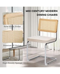 Rainsken Dining Chairs Set of 2, Velvet Upholstered Kitchen with Rattan Cane Back and Stainless Chrome Base for Room