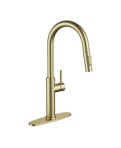 Phying Kitchen Faucet with Pull Down Sprayer