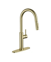Phying Kitchen Faucet with Pull Down Sprayer