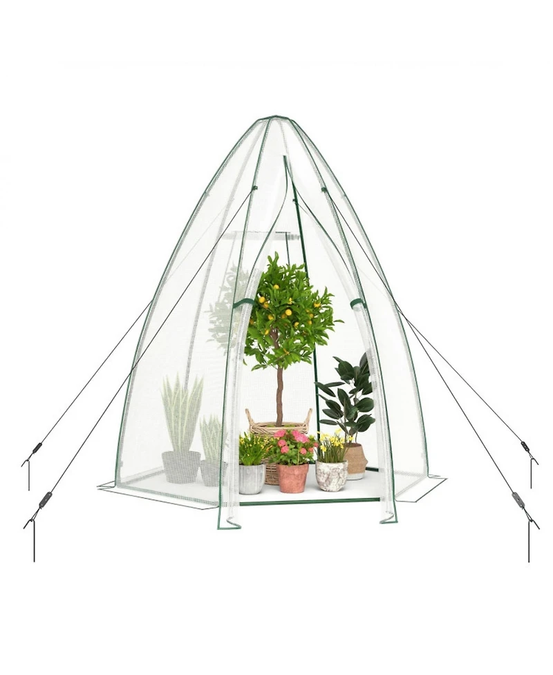 Gouun Portable Walk-In Mini Greenhouse with All-Weather Pe Cover