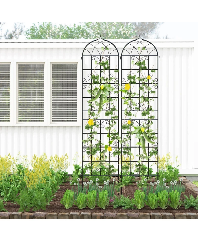 Gouun 2-Pack 86-Inch Metal Garden Trellis for Climbing Plants