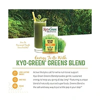Kyolic Blend Energy, Powdered Drink Mix, 10 oz