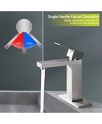 Midola Bathroom Faucet Single Hole, Single Handle Stainless Steel Faucet for Bathroom Sink with Deckplate and Drain Assembly