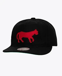 Mitchell & Ness Men's and Women's Detroit Tigers Vintage Fit Melton Wool Adjustable Hat