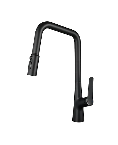 Phying Professional Kitchen Faucet 3 Function 360 Sprayer One Touch Switching FastConnect