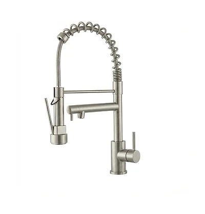 Phying Kitchen Faucet with Pull Down Sprayer