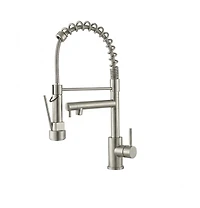 Phying Kitchen Faucet with Pull Down Sprayer