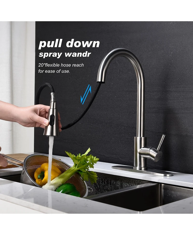 Phying Kitchen Faucet with Pull Out Spraye