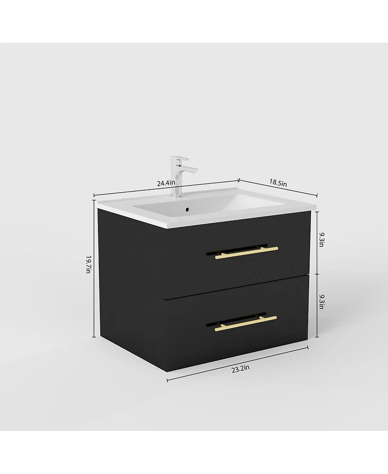 Sillysis Wall Mounted Bathroom Vanity with Ceramic Sink, Double Drawers