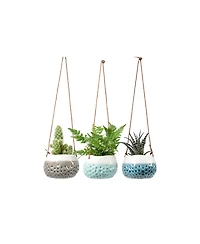 Burgon & Balll, Hanging Baby Dotty Trio Vases