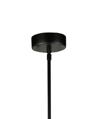 Artcraft Lighting Comet 10" Metal 2-Light Pendant
