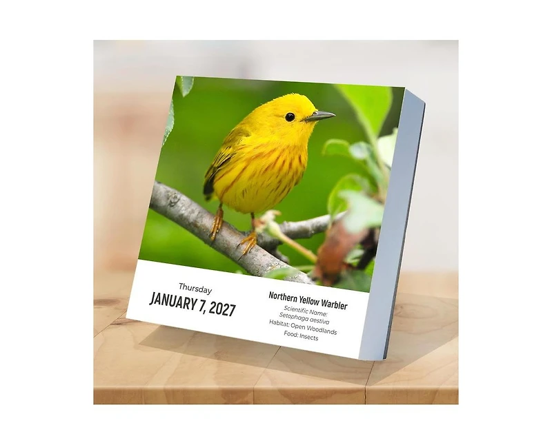 Tf Publishing Paper Goods 2027 Birds Backyard and Beyond Daily Desktop Calendar